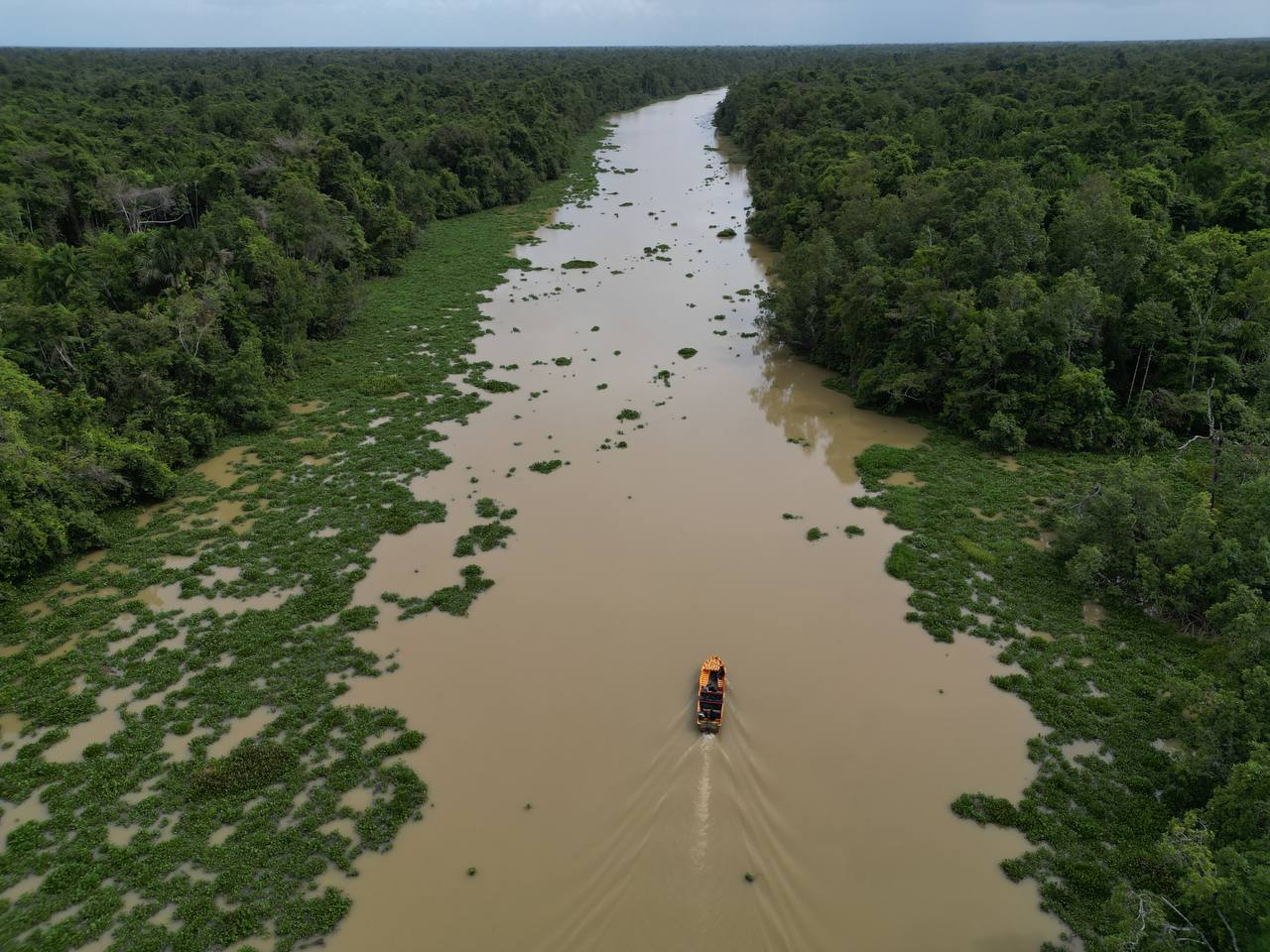 Orinoco Eco Camp Boat Drone View