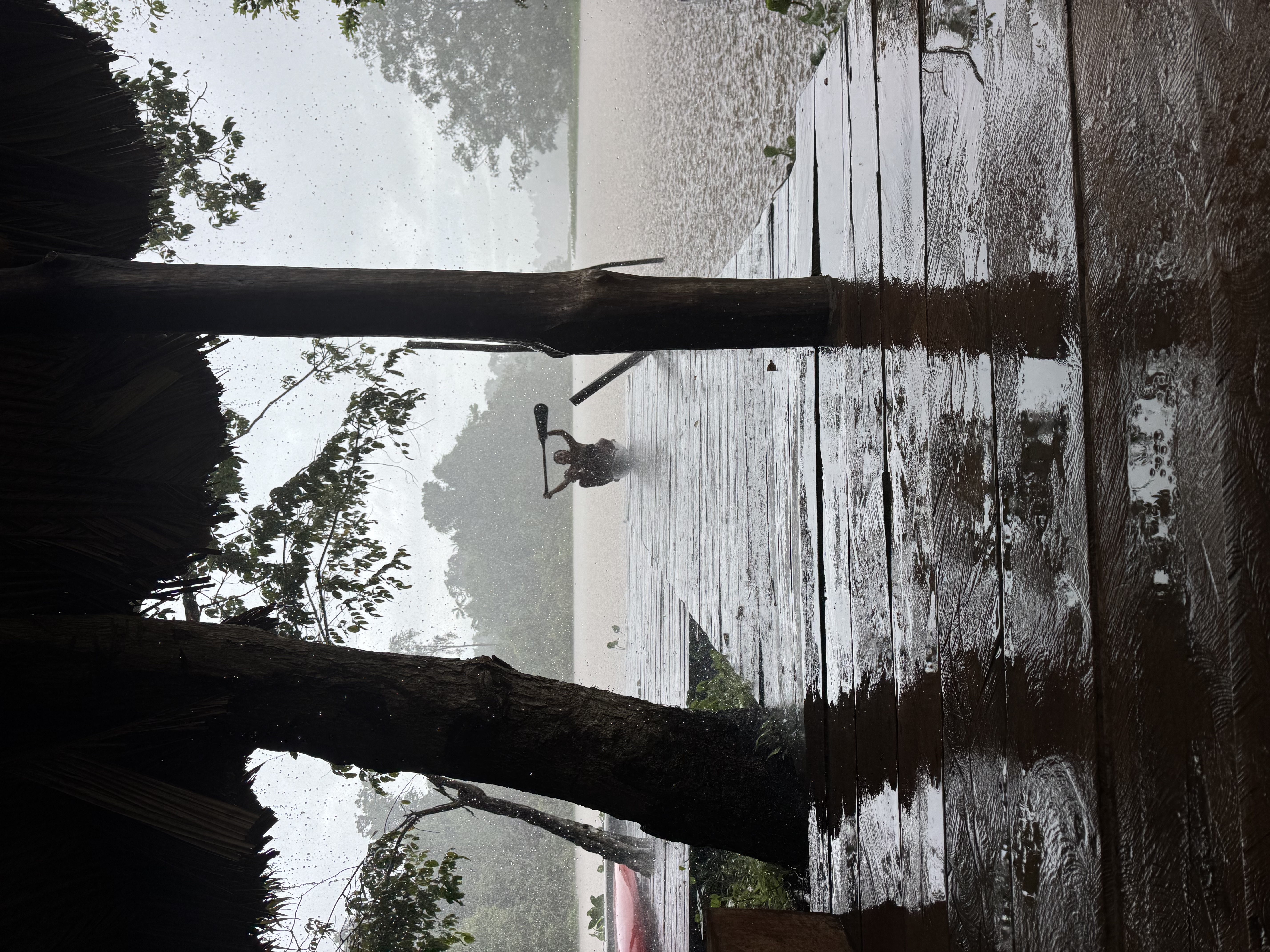 Orinoco Delta