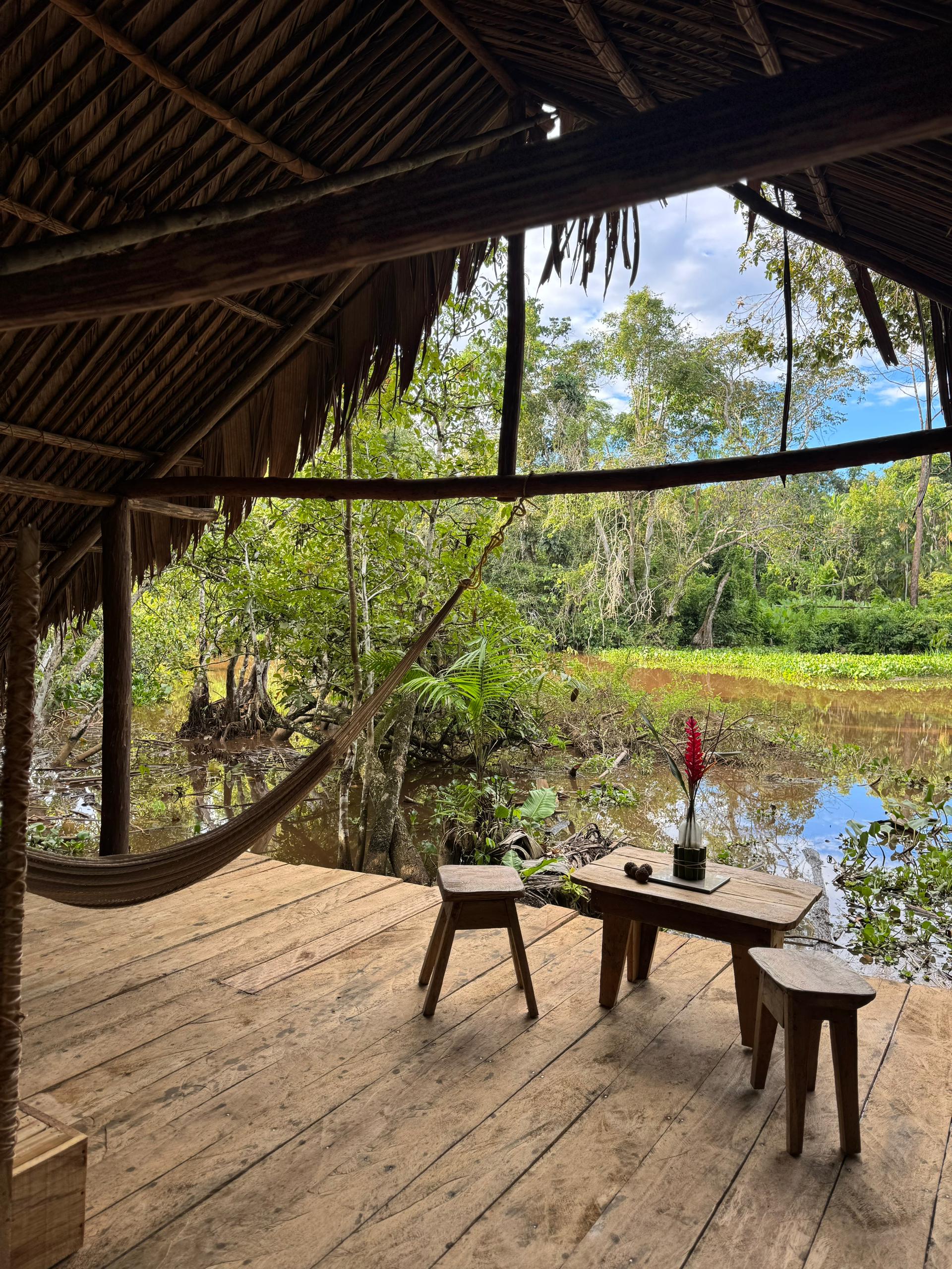 Jungle Trail