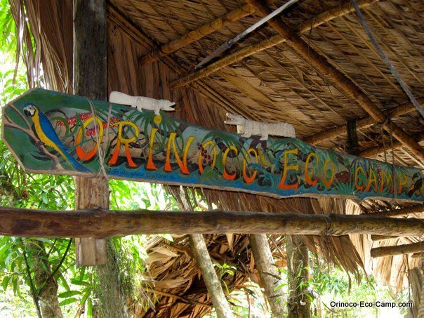Jungle Walk