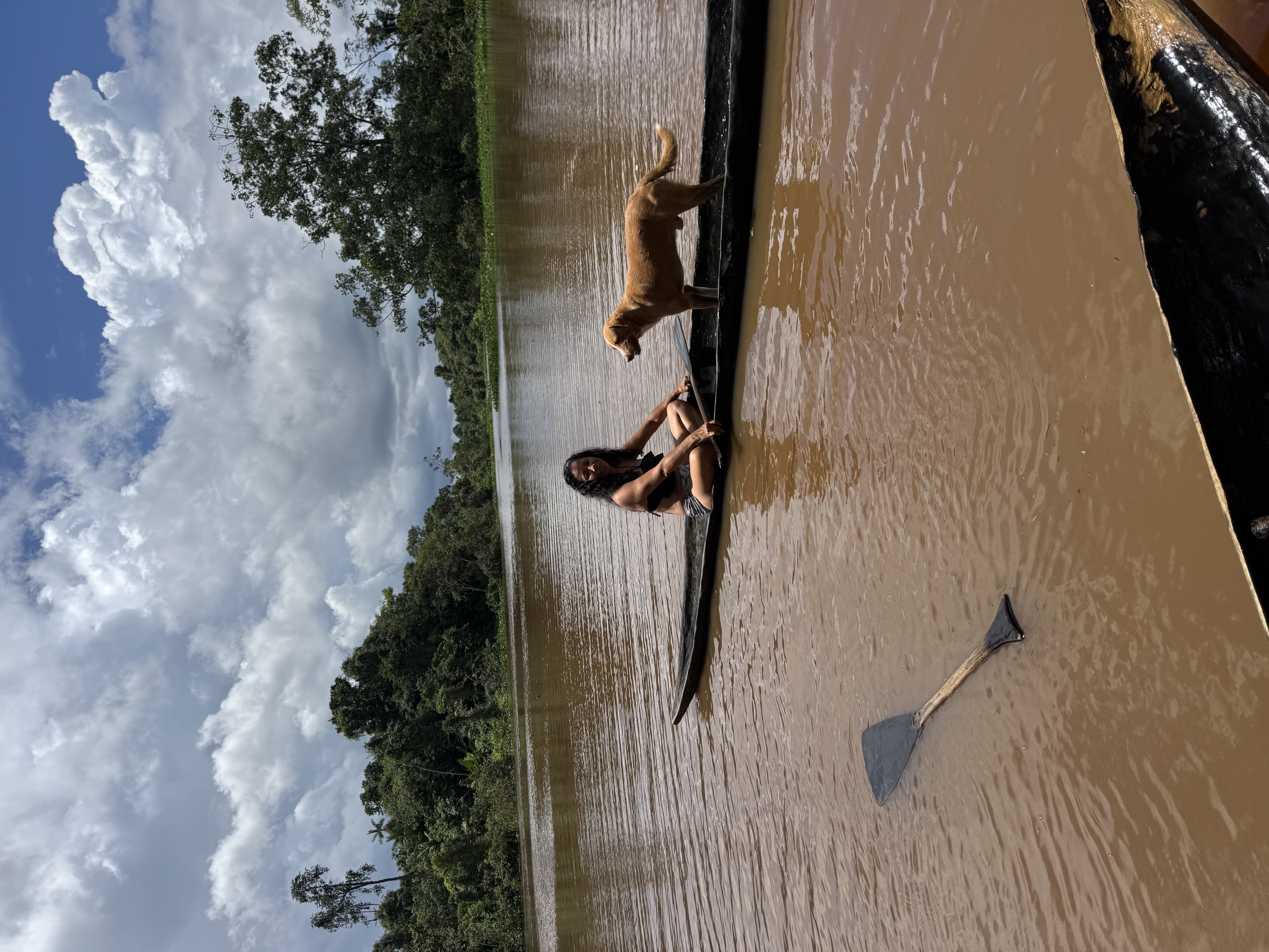 Wildlife Viewing